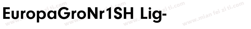 EuropaGroNr1SH Lig字体转换
